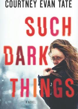 Such dark things : a novel - Cover Art