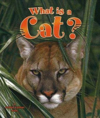 What is a cat? - Cover Art