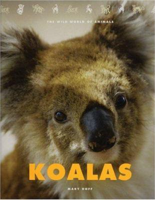 Koalas - Cover Art