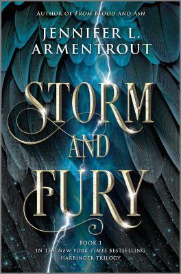 Storm and fury - Cover Art