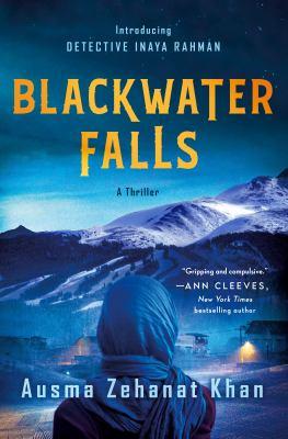 Blackwater Falls : a thriller - Cover Art