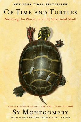 Of time and turtles : mending the world, shell by shattered shell - Cover Art