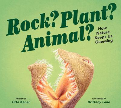 Rock? Plant? Animal? : how nature keeps us guessing - Cover Art