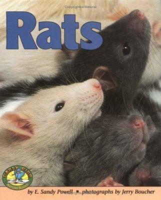 Rats - Cover Art