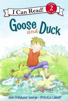 Goose and Duck - Cover Art