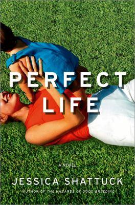 Perfect life : a novel - Cover Art