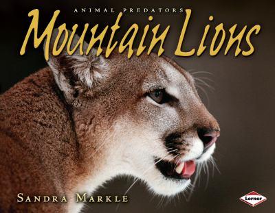 Mountain lions - Cover Art