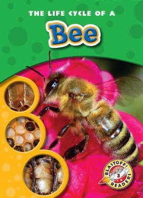 The life cycle of a bee - Cover Art
