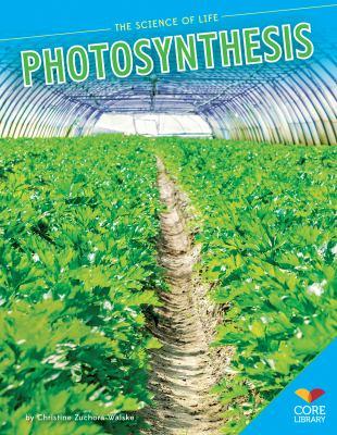 Photosynthesis - Cover Art