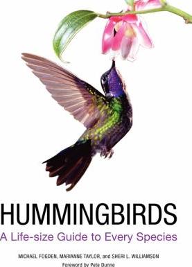 Hummingbirds : a life-size guide to every species - Cover Art