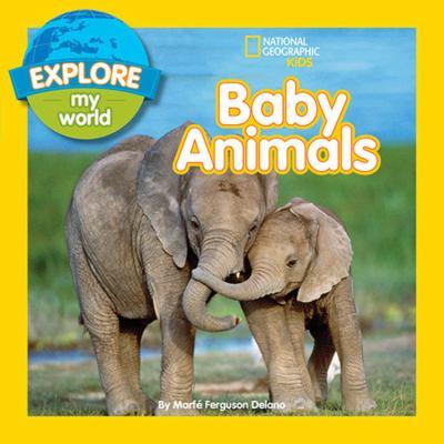 Baby animals - Cover Art